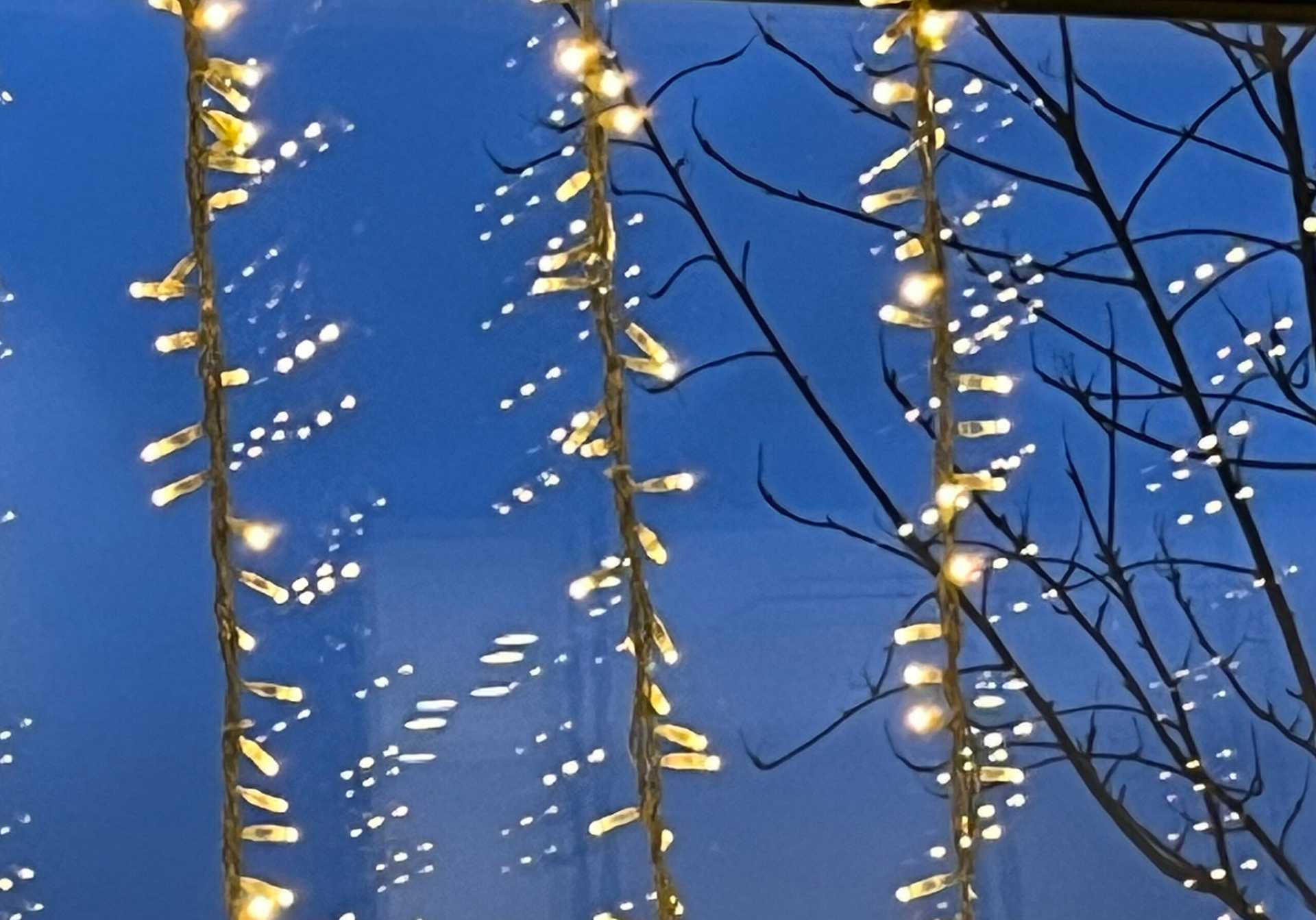 God jul och gott nytt år!